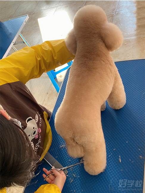 学员风采