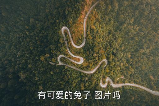有可爱的兔子 图片吗
