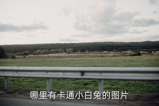 哪里有卡通小白兔的图片