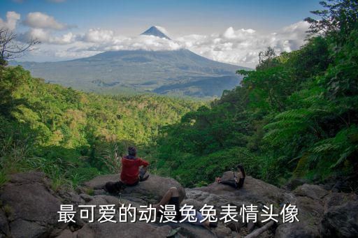 最可爱的动漫兔兔表情头像