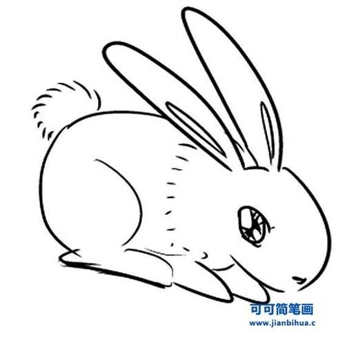的兔子简笔画小兔子吃萝卜简笔画图片兔子简笔画兔子简笔画动物