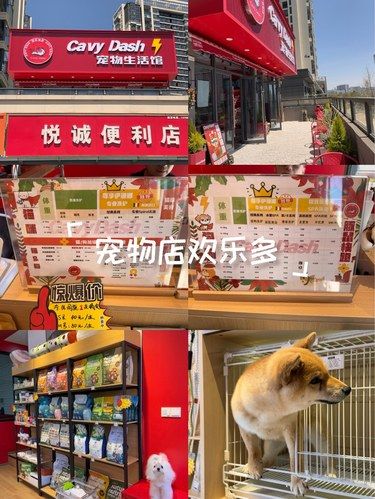 宠物生活馆