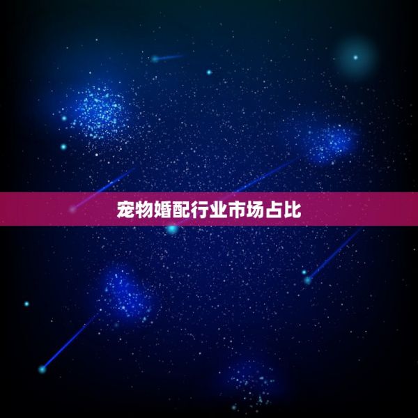 宠物婚配行业市场占比，目前国内宠物市场现状及前景分析 第1张