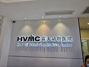 带着毛孩子体检的一天