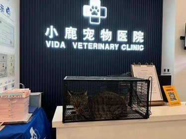 带着男孩子安心陪诊服务，我体验了