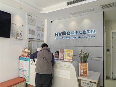 这家宠物医院体验太棒了
