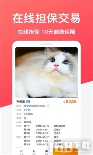 共宠