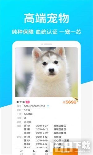 共宠