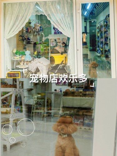 宠物店欢乐多，毛孩子的变美宝地！环境温馨！