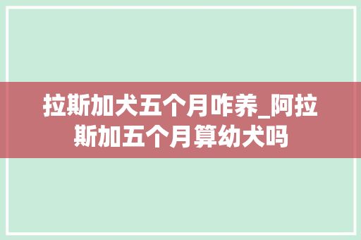 拉斯加犬五个月咋养_阿拉斯加五个月算幼犬吗