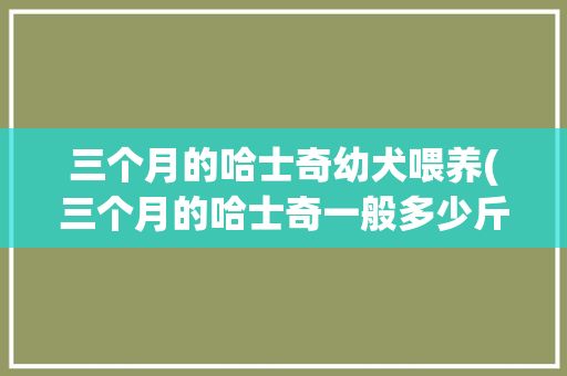 三个月的哈士奇幼犬喂养(三个月的哈士奇一般多少斤)✅ 