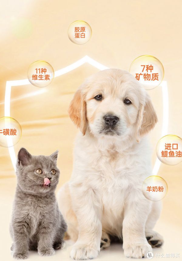 红狗乳铁蛋白营养膏,让宠物更健康!