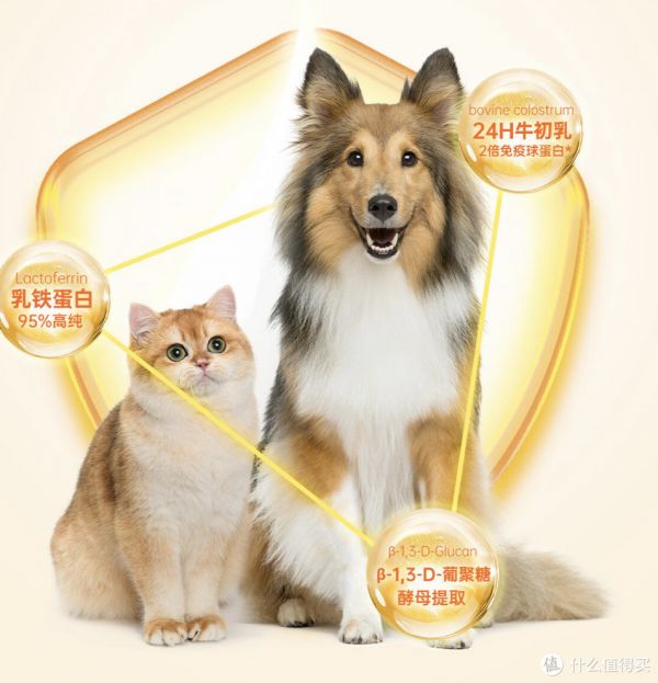 红狗乳铁蛋白营养膏,让宠物更健康!