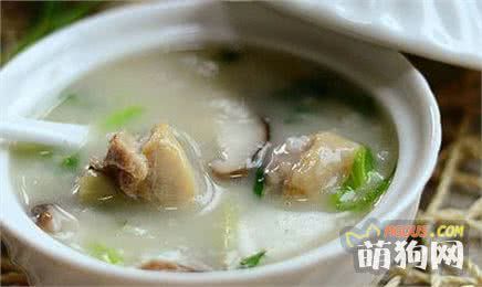 宠物狗狗御寒指南 这个冬天不感冒~