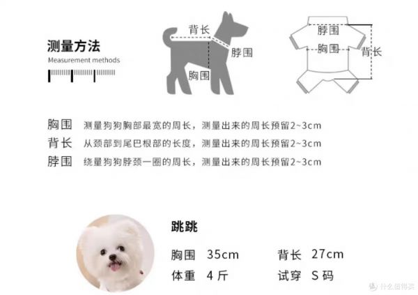 小狗狗冬天也要注意保暖