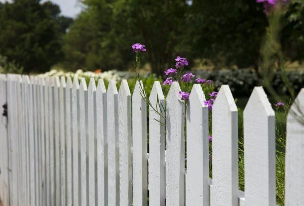 Garden Fence