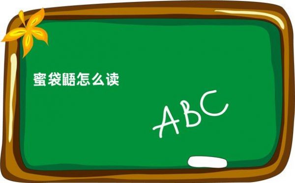 蜜袋鼯怎么读