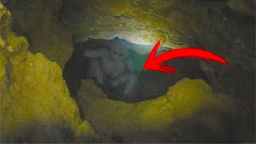 科学家发现了一个有300万年历史的洞穴，并发现了难以置信的东西
