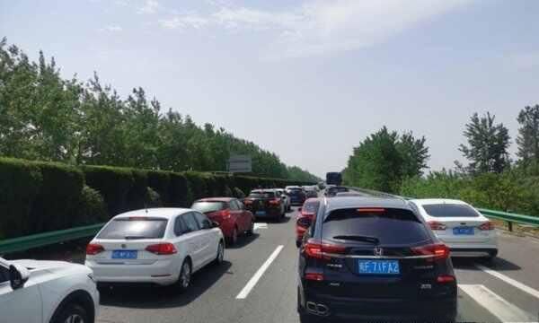 副驾驶不坐人扣3分罚200？私家车带宠物狗处罚吗-有驾