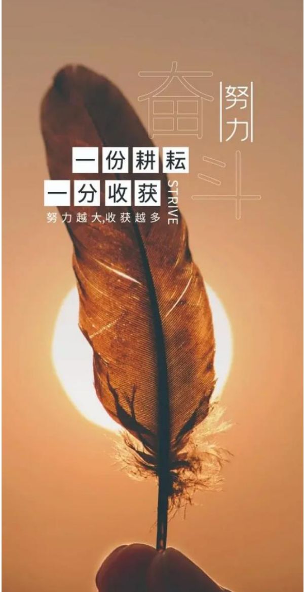 正能量的手机壁纸图片 2024最火励志图片屏保大图