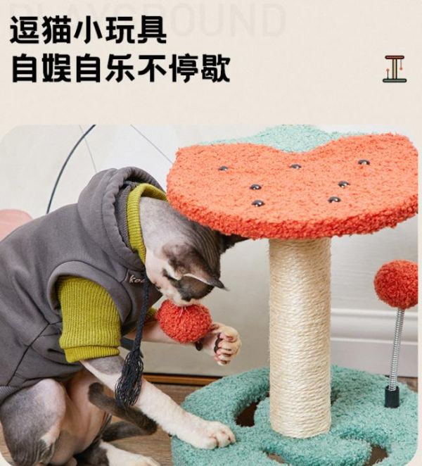 欣橙宠物玩具