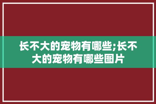 长不大的宠物有哪些;长不大的宠物有哪些图片