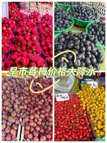 早市春季莓梅价格大跳水