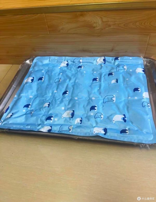 夏日养宠降温神器