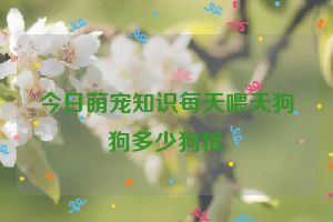 今日萌宠知识每天喂天狗狗多少狗粮