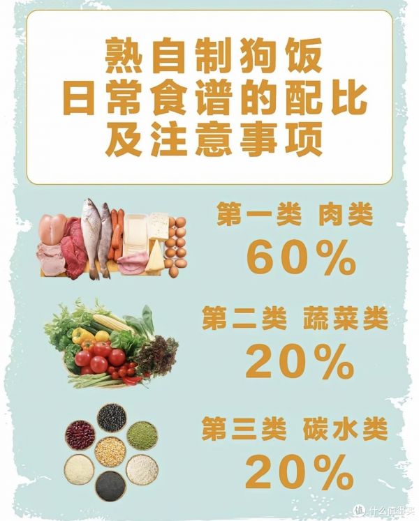 熟自制狗饭日常食谱的配比及注意事项