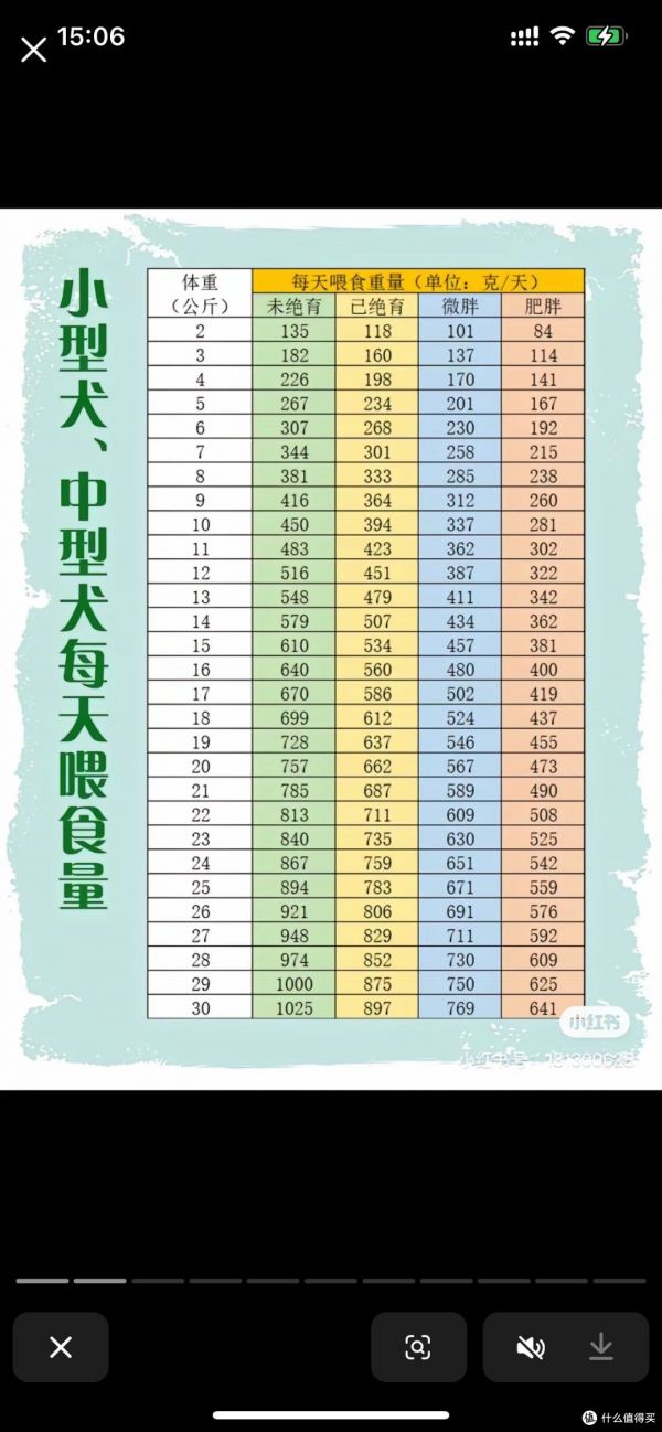 熟自制狗饭日常食谱的配比及注意事项