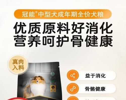 中型犬每日狗粮摄入量是多少克？如何确定合适的狗粮分量？