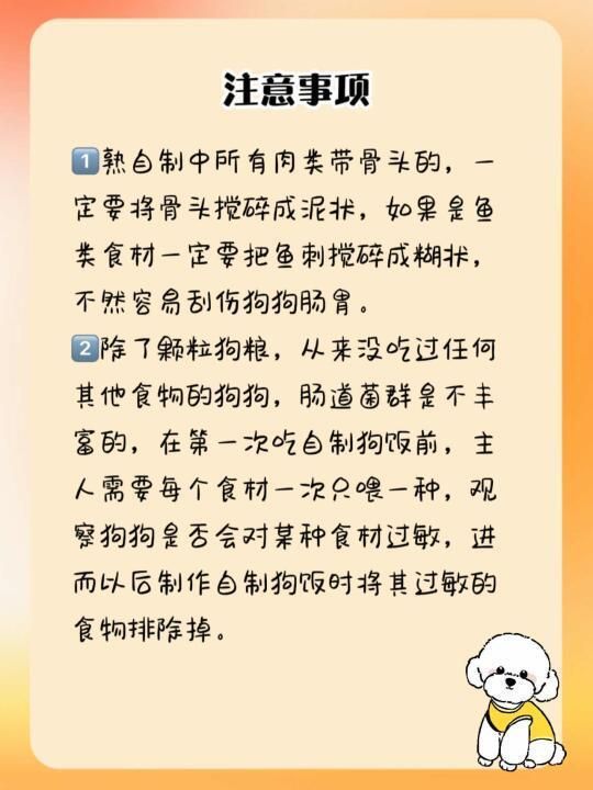 科学自制狗饭攻略:健康美味狗食制作与喂养指南