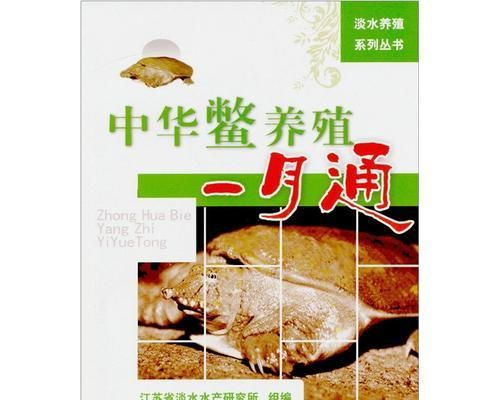 中华鳖的饲养全攻略（让你成为中华鳖养殖的专家！）