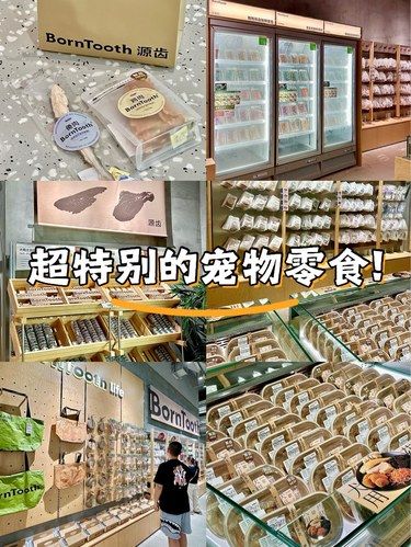 宠物友好小天地