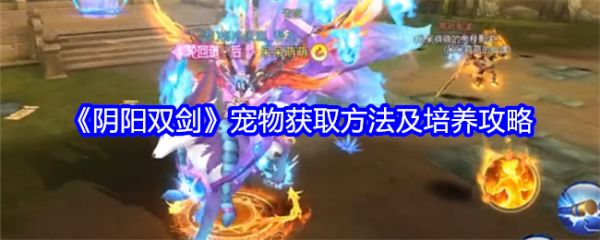 阴阳双剑宠物怎么获得 宠物获取方法及培养攻略