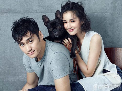 张歆艺袁弘家里有几只宠物?张歆艺为什么那么喜欢猫?