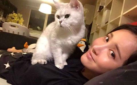 张歆艺袁弘家里有几只宠物?张歆艺为什么那么喜欢猫?