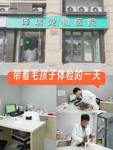 医术超赞 医心更美~