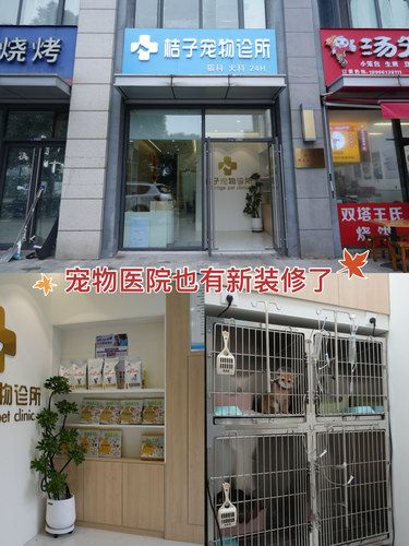 性价比超高的宠物医院，良心推荐！！！
