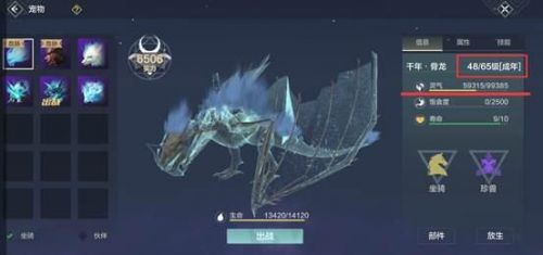妄想山海宠物升级与资质