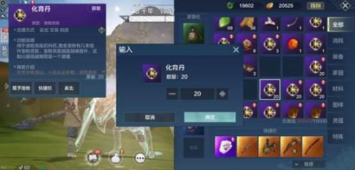 妄想山海宠物升级与资质