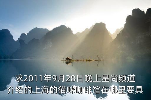 求2011年9月28日晚上星尚频道介绍的上海的猫咪咖啡馆在哪里要具