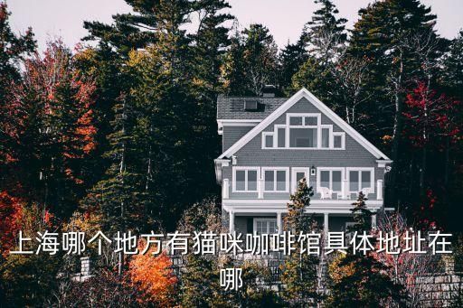 上海哪个地方有猫咪咖啡馆具体地址在哪