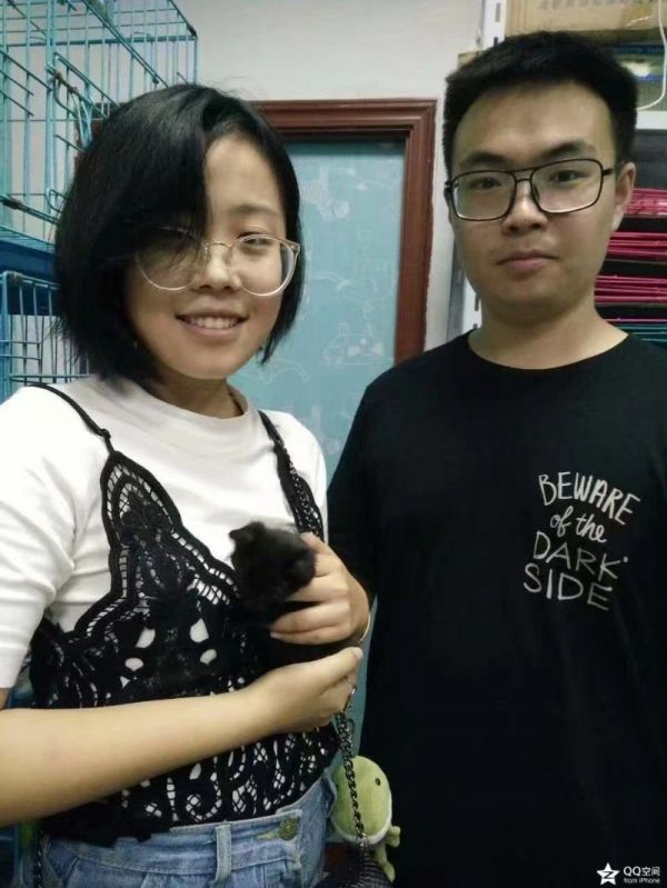 上海卢湾宠物猫免费领养机构