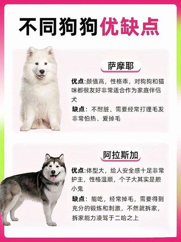 狗狗品种大揭密
