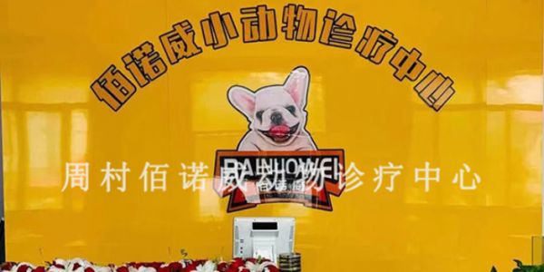 周村正阳路附近的24小时宠物医院治细小,宠物医院