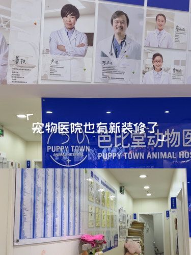 宠物医院的好选择