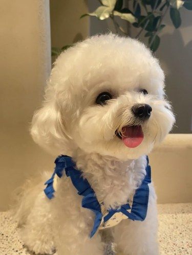 和阎王抢时间失去我的宝宝……