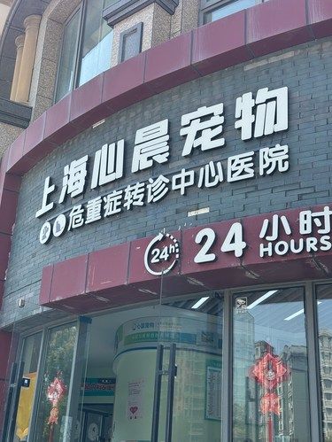 带着毛孩子驱虫的一天